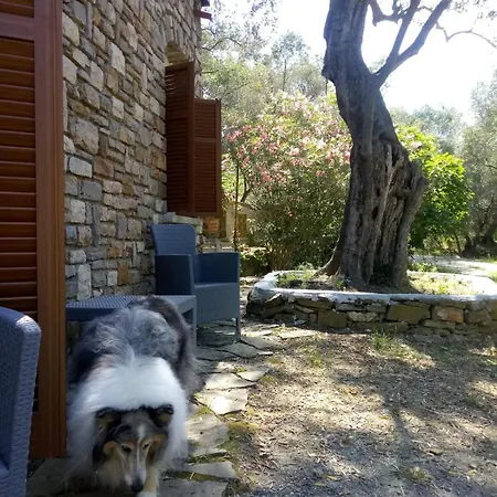 Vivi Tra Mare E Ulivi Ντιάνο Μαρίνα