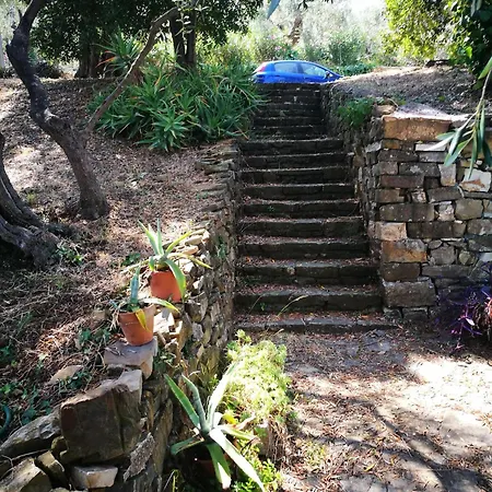Ferienhaus Vivi Tra Mare E Ulivi Diano Marina