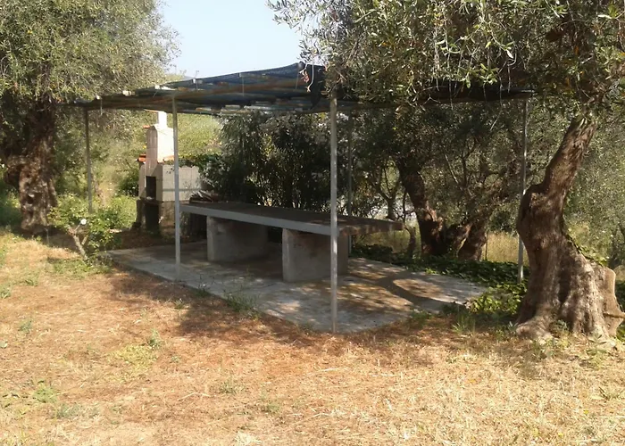 Vivi Tra Mare E Ulivi Tatil Evi