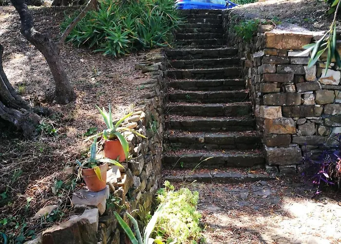 Tatil Evi Vivi Tra Mare E Ulivi Diano Marina