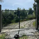 Vivi Tra Mare E Ulivi Сasa de vacaciones Diano Marina