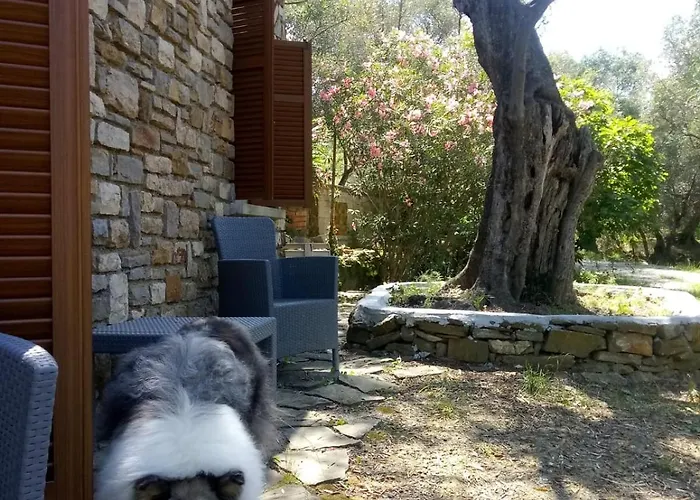 Vivi Tra Mare E Ulivi Diano Marina